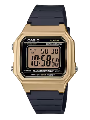 Gold Casio Watch - W217HM-9AV